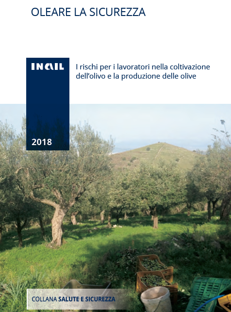 Rischi per i lavoratori nella coltivazione dell’olivo olio