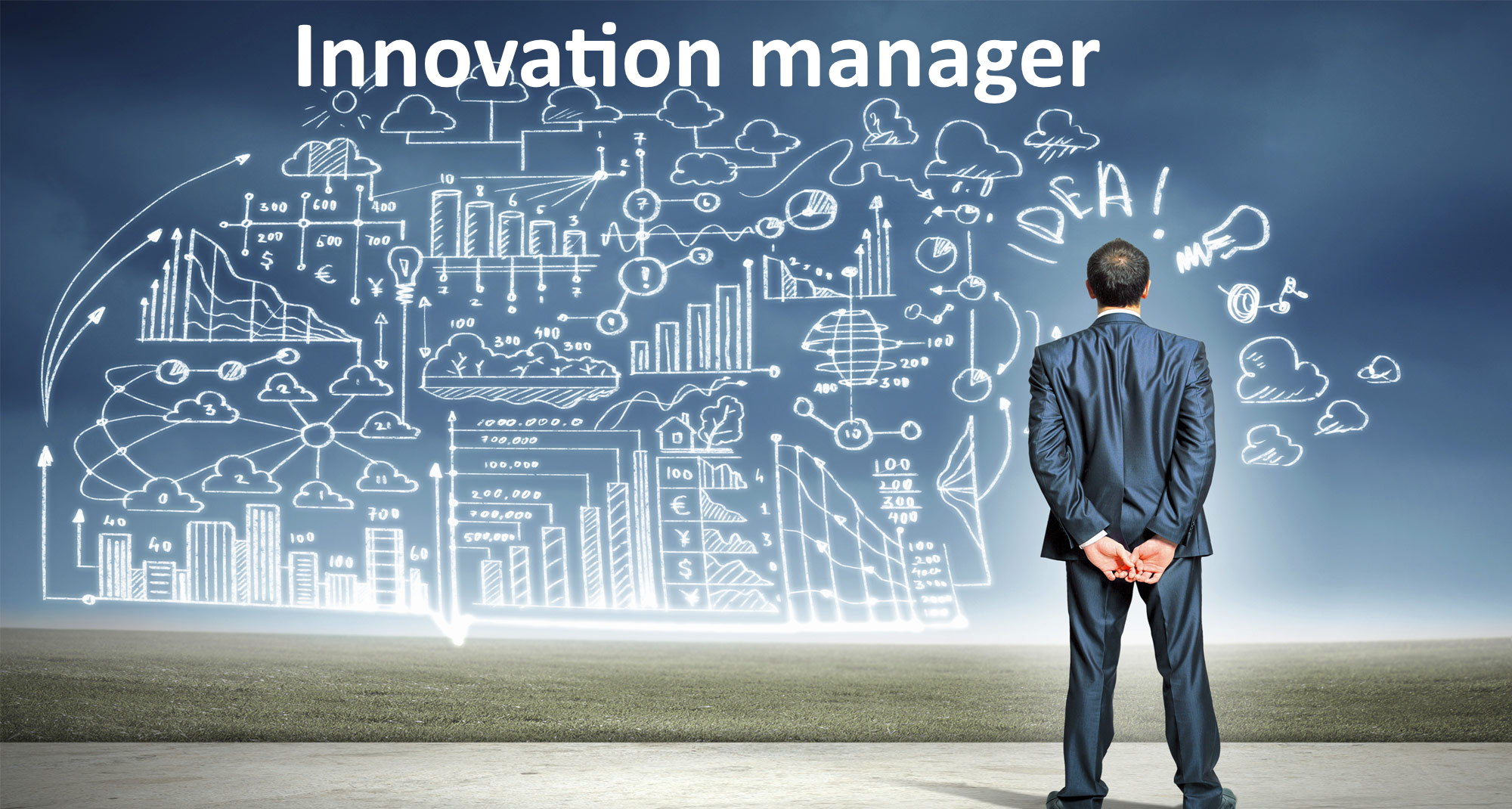 Innovation manager azienda