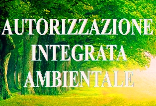 Definizione della modulistica da compilare per la presentazione della domanda di AIA di competenza statale Definizione della modulistica da compilare
